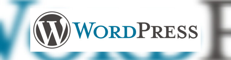 WordPress – wp-config.php – consultar log